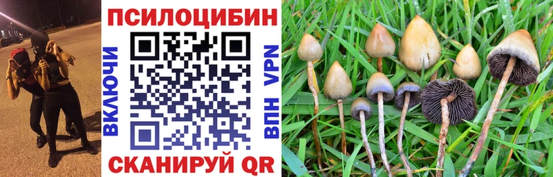 где можно купить   Черемхово  Псилоцибиновые грибы ЛСД 